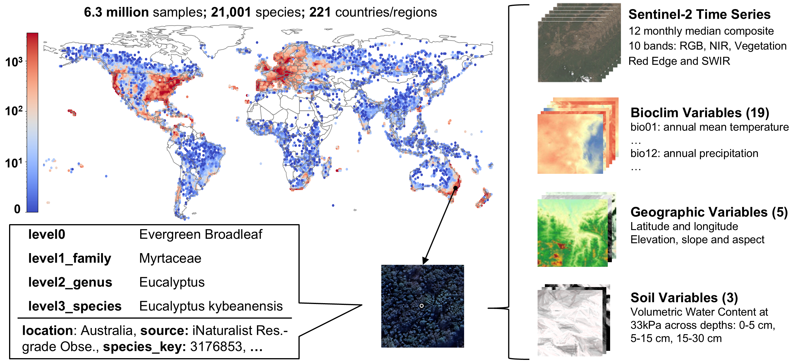 globalgeotree.png